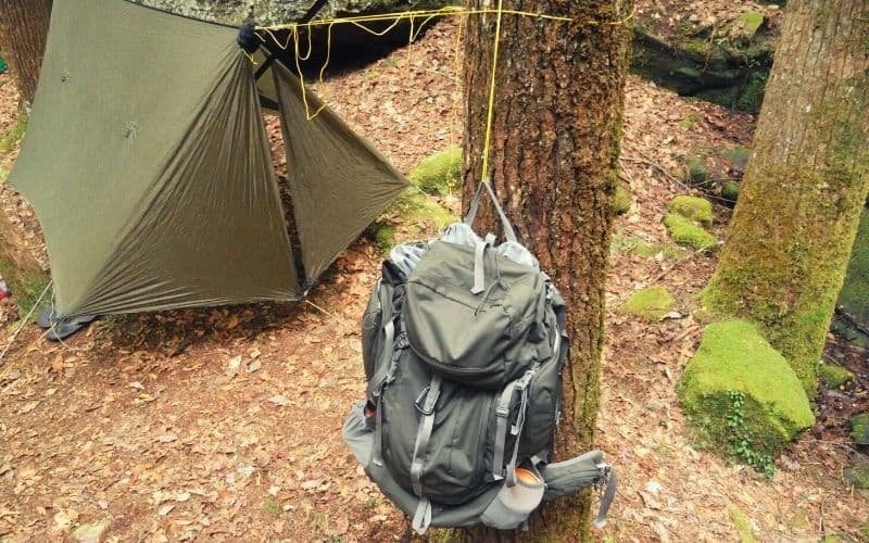 Hammock with tarp and backpack hanging from trees