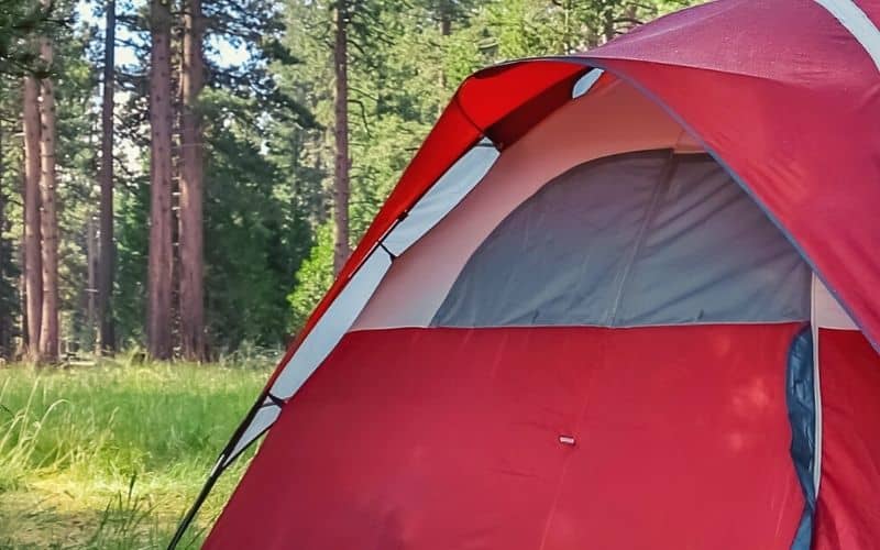 Mesh panel in tent canopy