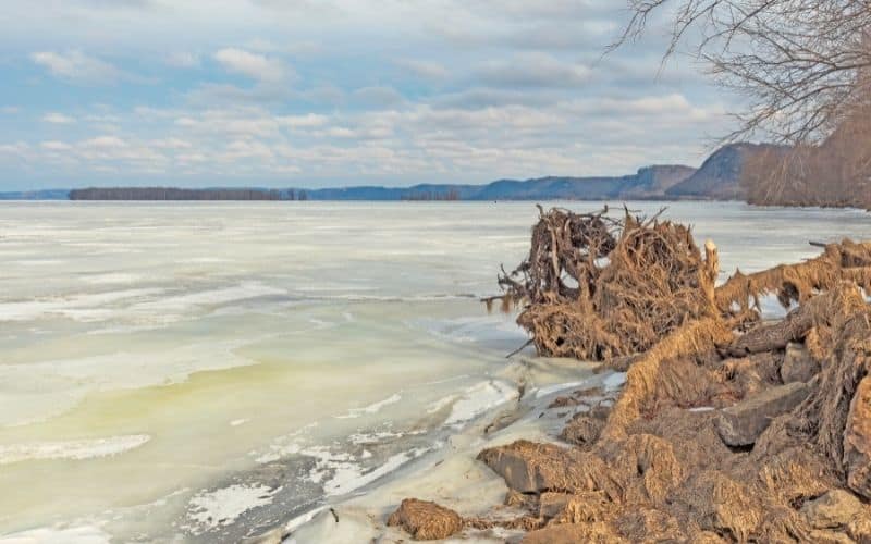Shore View along the frozen Mississippi River in Winter near Lynxville, Wisconsin