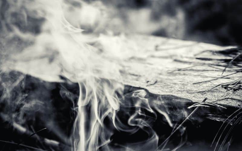 Close up of wet wood burning and creating smoke