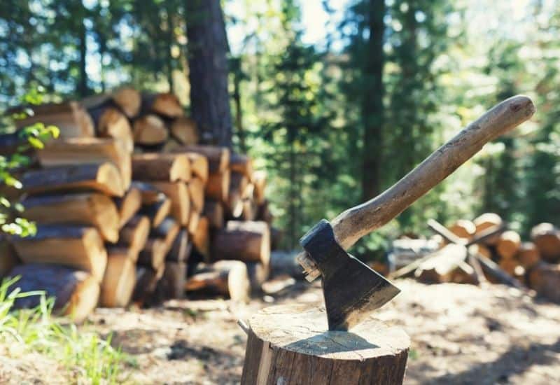 An axe lodged into a tree stump in front of a stack of logs for firewood