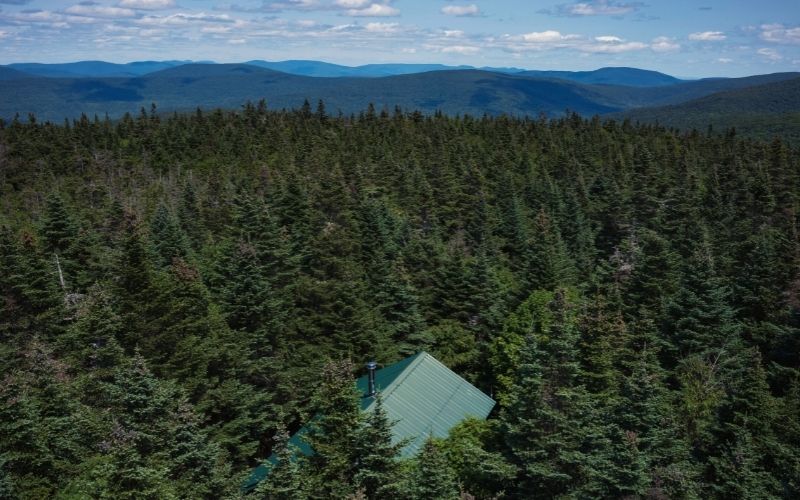 Views across forest from the top of the Balsam Lake Fire Tower, Catskill