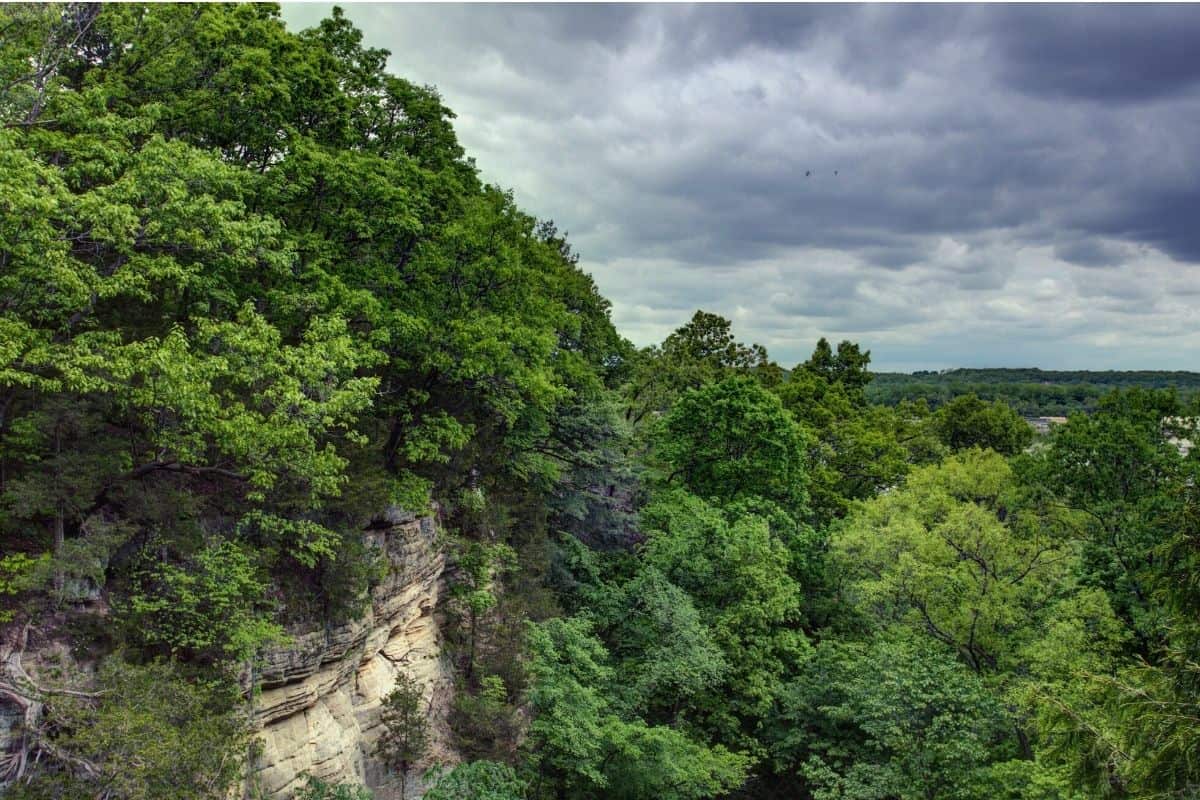 View from Wildcat Canyon rim looking toward Illinois river