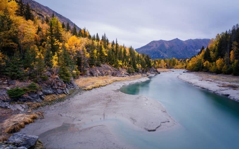 Trees in Autumnal colours line the banks of Bird Creek