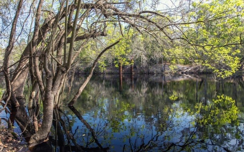 Blackwater River State Park