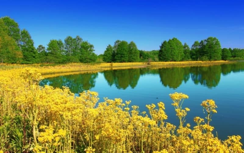 Carlyle Lake, Illinois