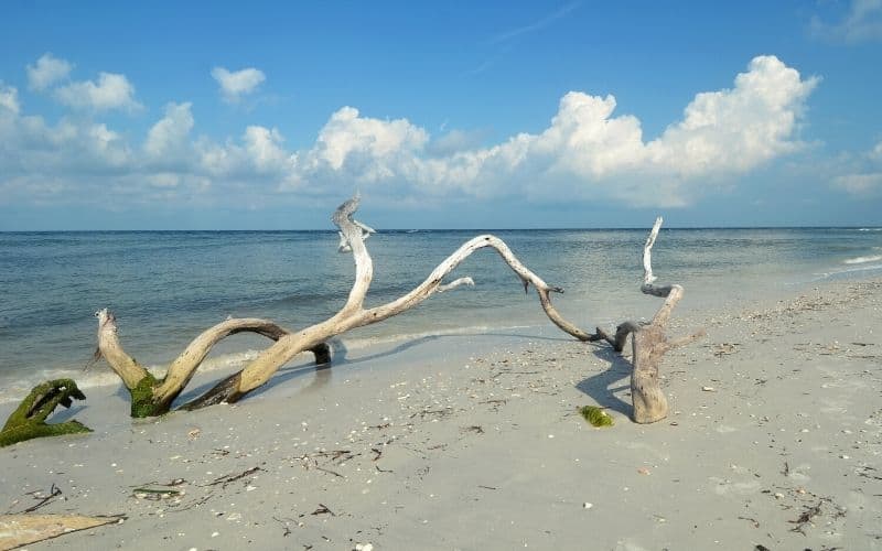 Cayo Costa State Park