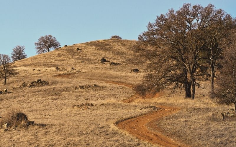 Cronan Ranch