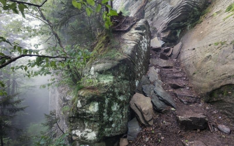 A set of stone stairs leading up the Devil's Path in the Catskills