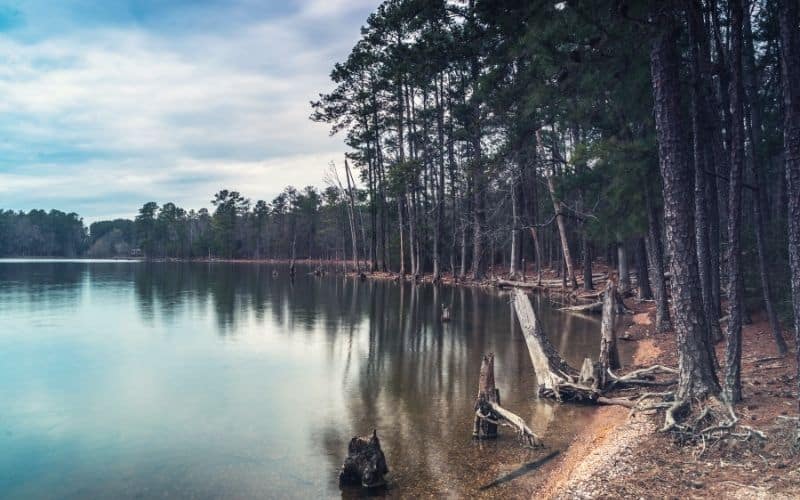 Dreher Island State Park