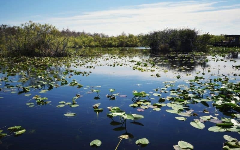 Everglades National Park