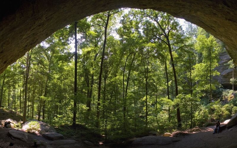 Looking out of a cave at Ferne Clyffe State Park, Illinois