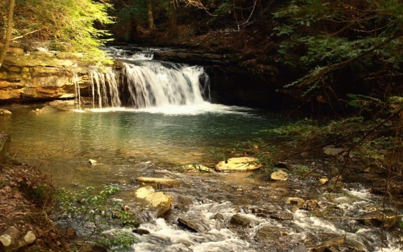 A waterfall along the Fiery Gizzard Trail