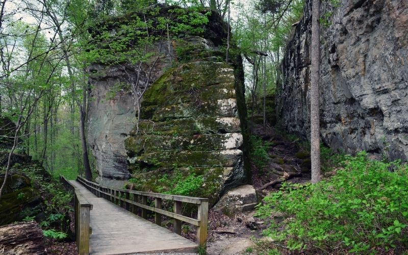 Boardwalk on trail in Giant City State Park, Illinois