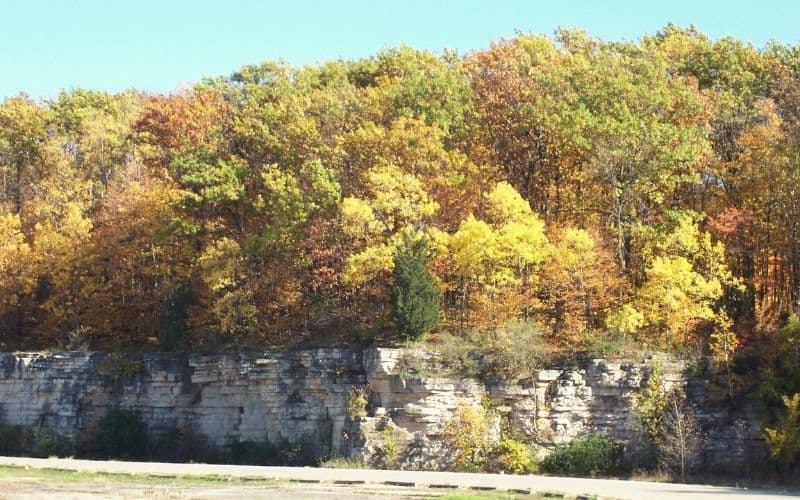 Limestone cliffs at High Cliff State Park topped with trees in Autumn colors