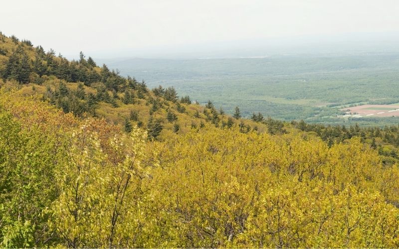 View of the Hudson Valley from Catskill Mountain House