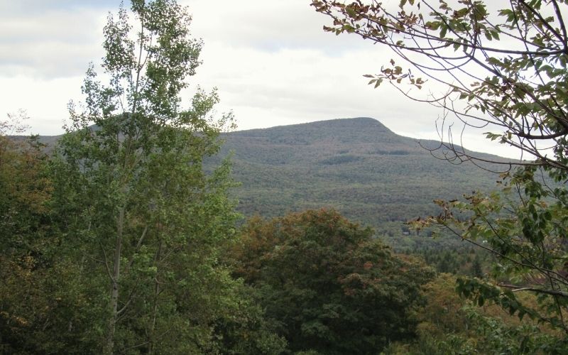 View of Kaaterskill High Peak from in between trees