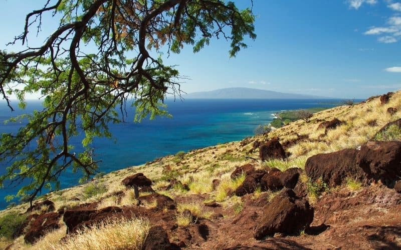 Lahaina Pali