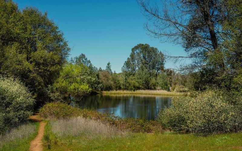 Lake Clementine Trail