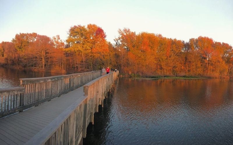 Lake Loop at John Heinz NWR