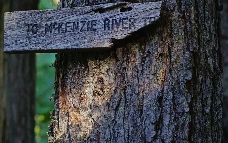 McKenzie River Trail