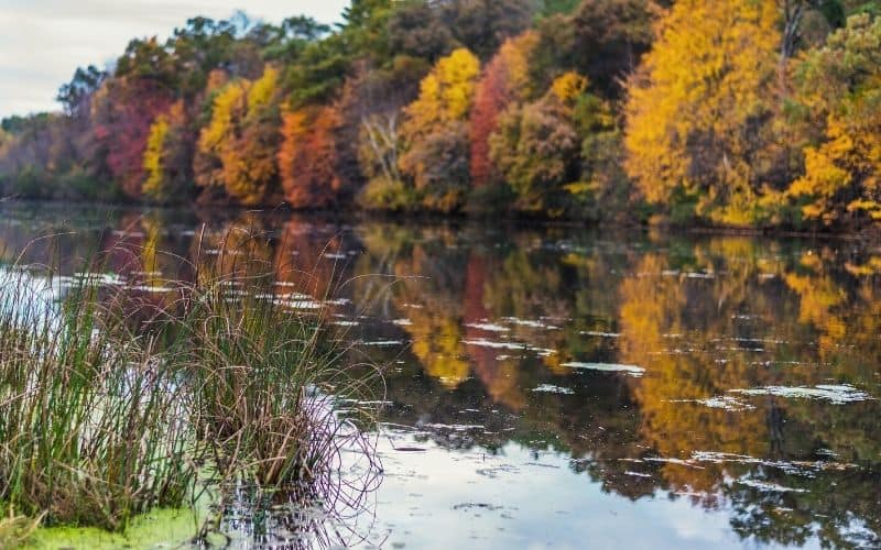 Autumn trees on the shoreline reflected by Mirror Lake, Wisconsin