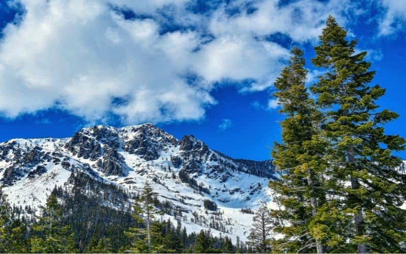 Mount Tallac Trail