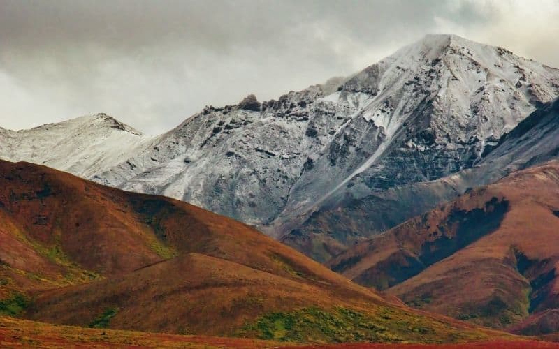 Snowy mountain peaks in the background against the autumn colors of lower lands of Denali National Park