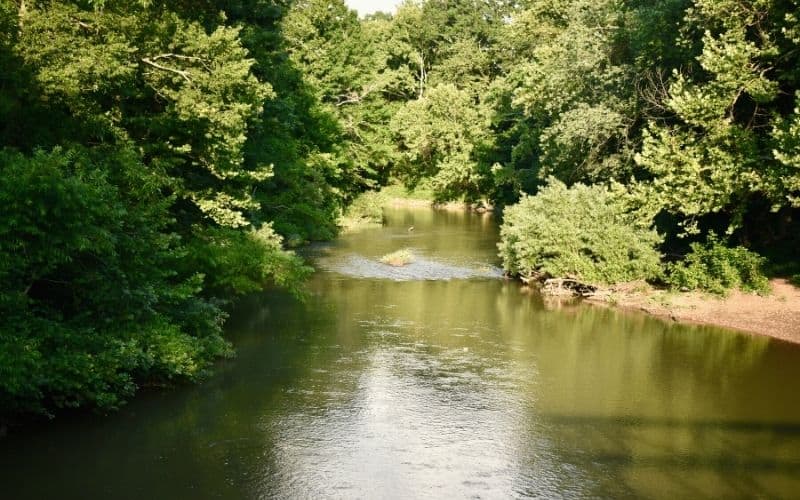 Sun shining on Harpeth River lined with green leafy trees 
