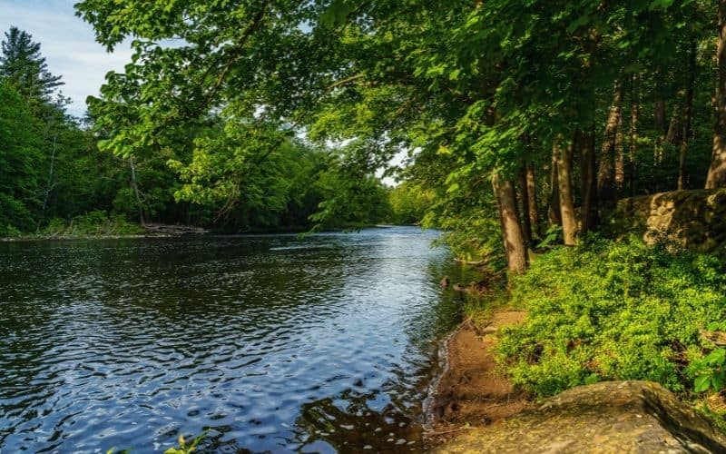 Neversink River Unique Area, Catskill