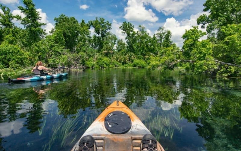 Ocala National Forest