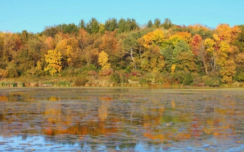 Olson Lake, Rock Cut State Park, Illinois