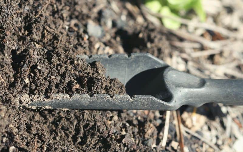 Plastic serrated trowel full of mud