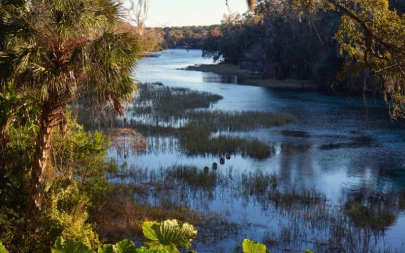 Rainbow Springs State Park