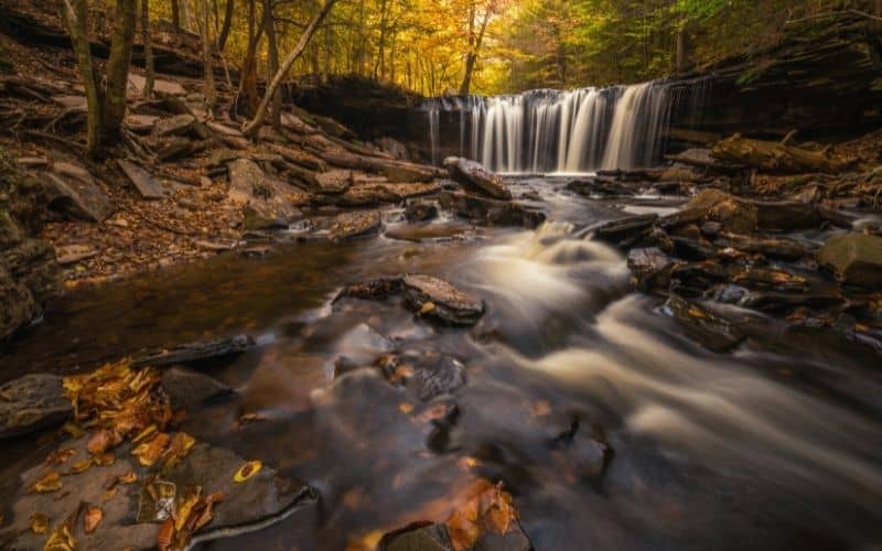 Ricketts Glen Falls 