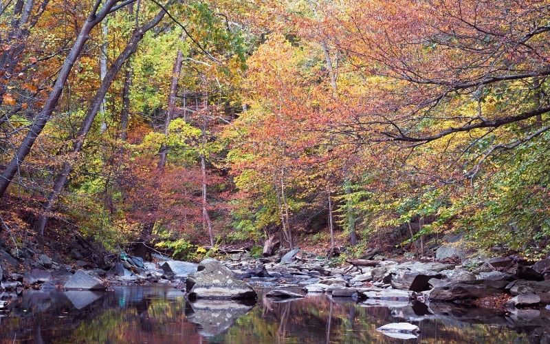 Rock Creek Park