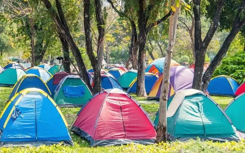 Row of tents in a campsite