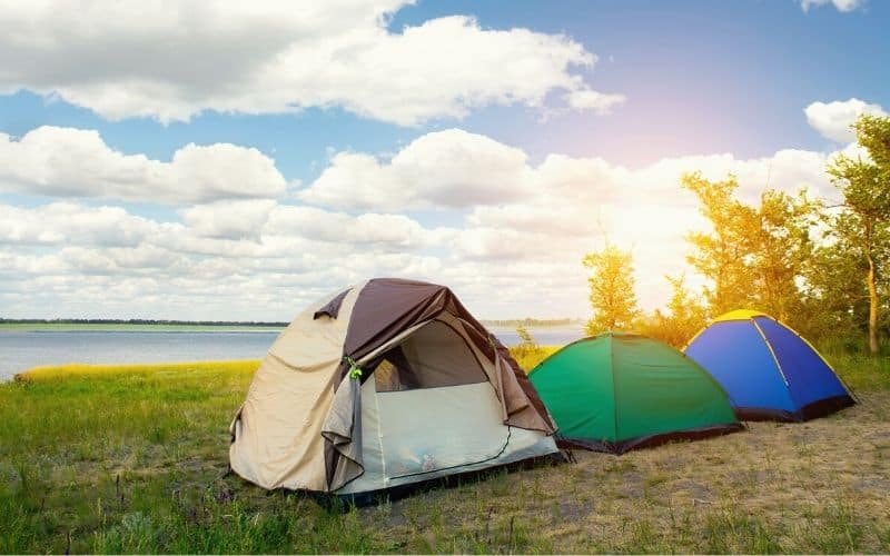 Row of tents pitched on even grassy ground in front of lake