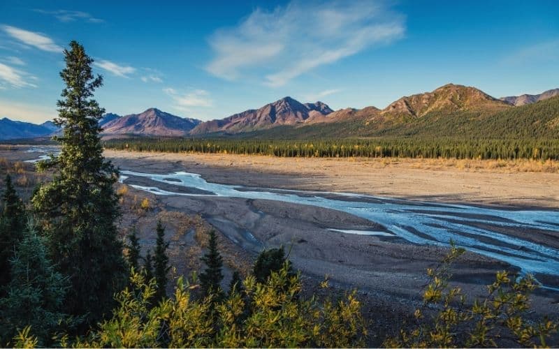 The Savage River running in front of boreal forest