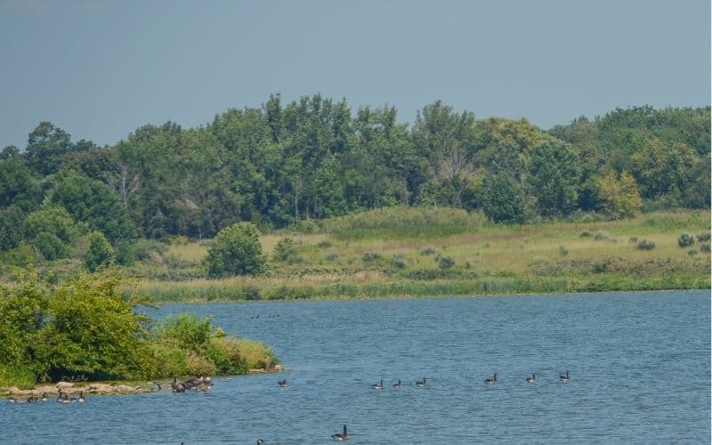 Shabbona Lake, Illinois