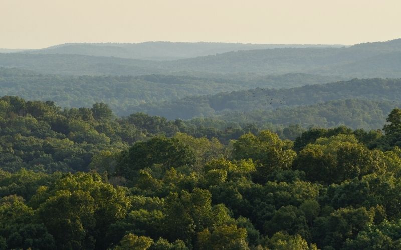 Shawnee National Forest, Illinois