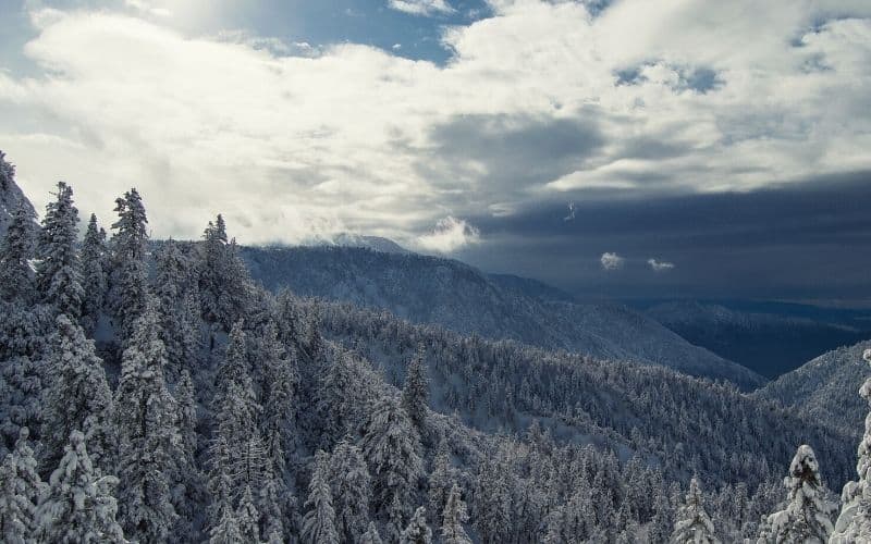 Skyline Trail