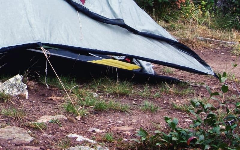 Tarp grommets pitched to ground with guy lines