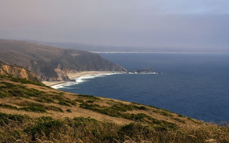 Tomales Point Trail