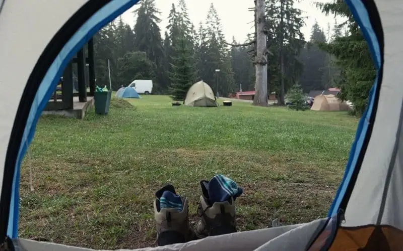 View out of tent at a campsite
