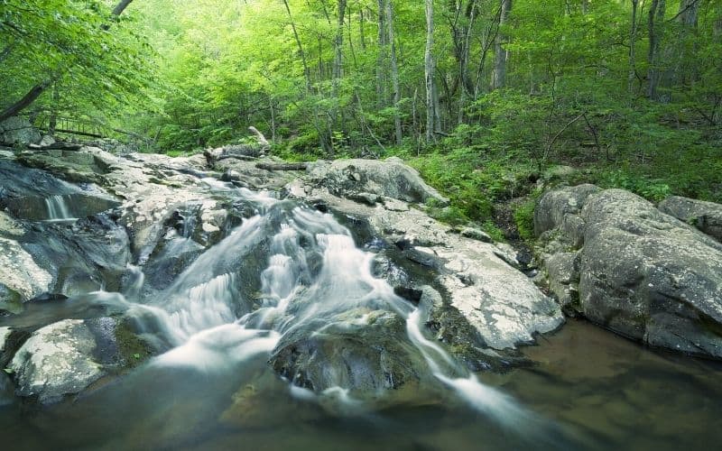 Whiteoak Canyon Falls