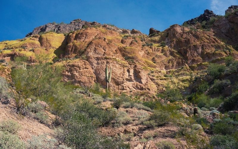 Wind Cave Trail , Phoenix Arizona