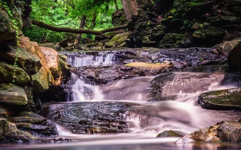 Wissahickon Creek Gorge Trails