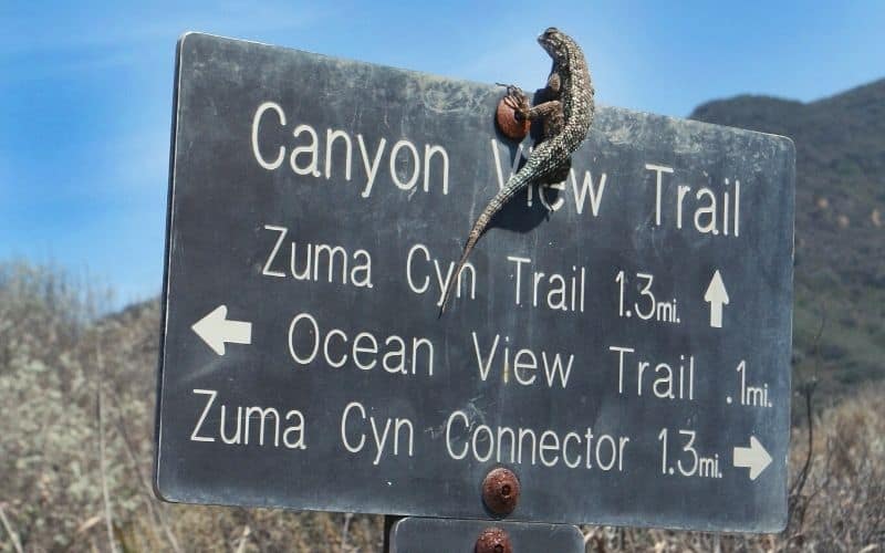Zuma Canyon