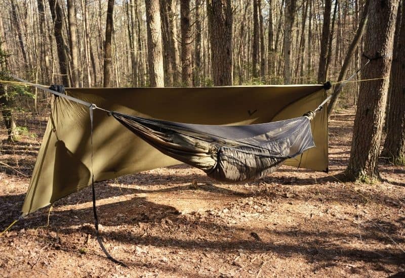 hammock ridgeline - featimg